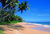 Değer mi tatil Goa şubat ayında?