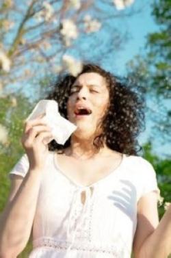 Симптоми алергії на тополиний пух