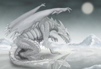 Drawings of dragons in pencil: alluring gaze from the sheet of paper