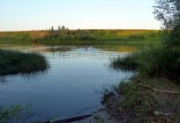 نهر إيشيم في كازاخستان: وصف روافد