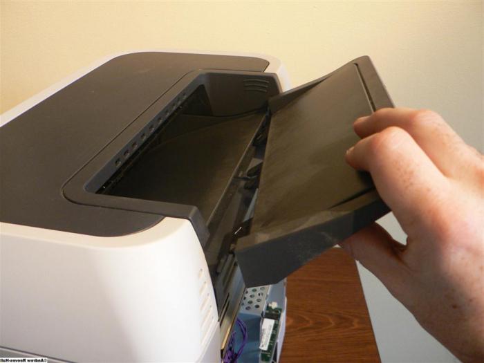 Drucker epson Papier nicht erfasst