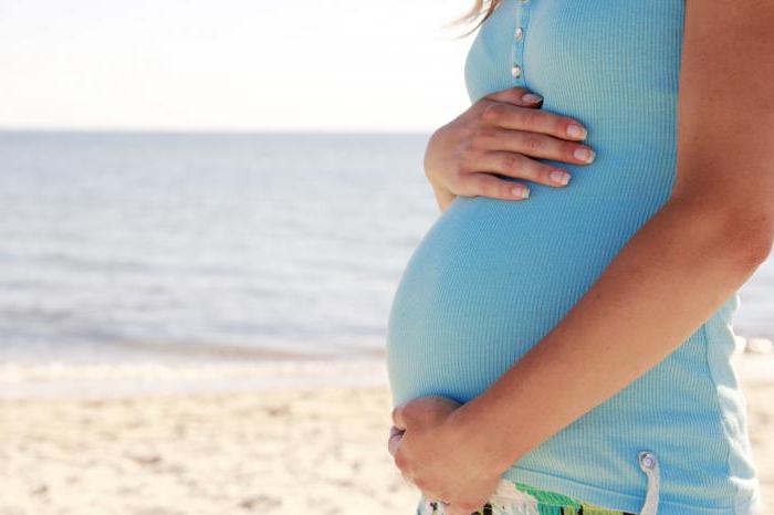 доплер de ultra-som durante a gravidez prazos