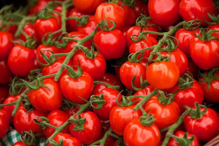 JOD für die Pflanzen als Dünger für Tomaten