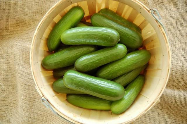 cucumbers with citric acid recipe