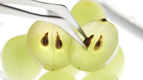 the benefits and harms grapeseed