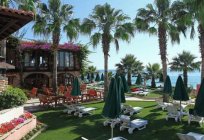Кращі готелі Туреччини. Кемер: 4 зірки, 1 лінія. Огляд, опис та відгуки туристів