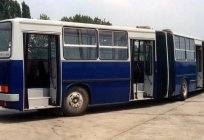 «Otobüs Ikarus-293»: teknik özellikleri ve fotoğraf