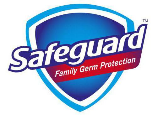 Safeguards Seife