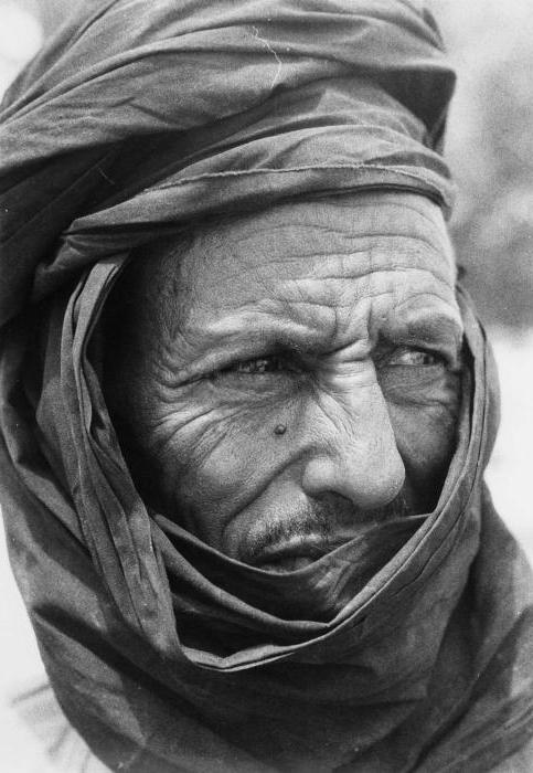 тайпасы туарегов фото