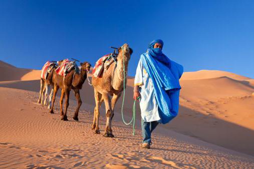 тайпалары туарегов тарихы